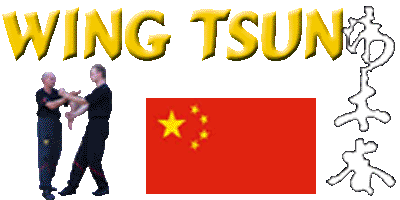Wing Tsun